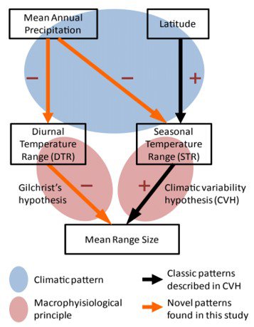 Data Analysis
