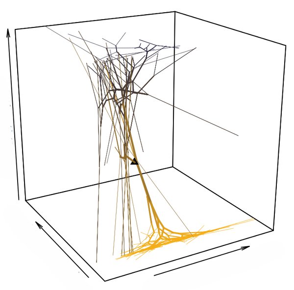 Biological Data