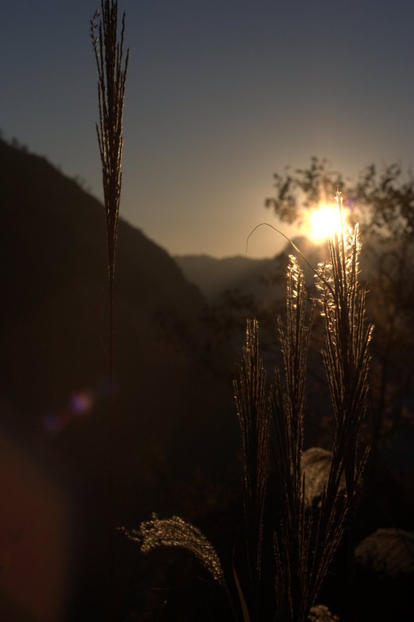 Increasing drought stress and climate variability in high mountain ecosystems in Taiwan