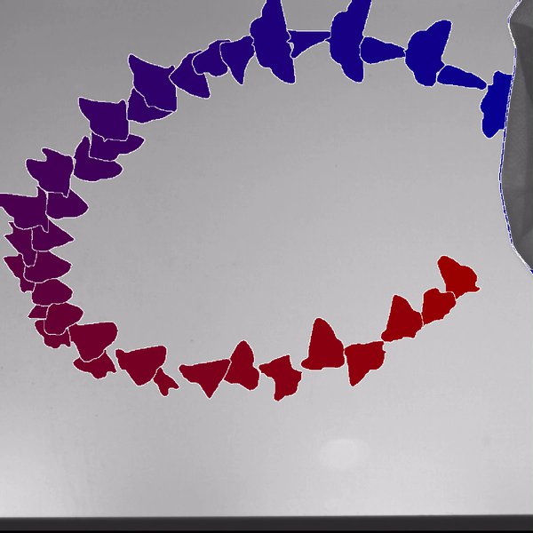 Wing beat signatures in moths