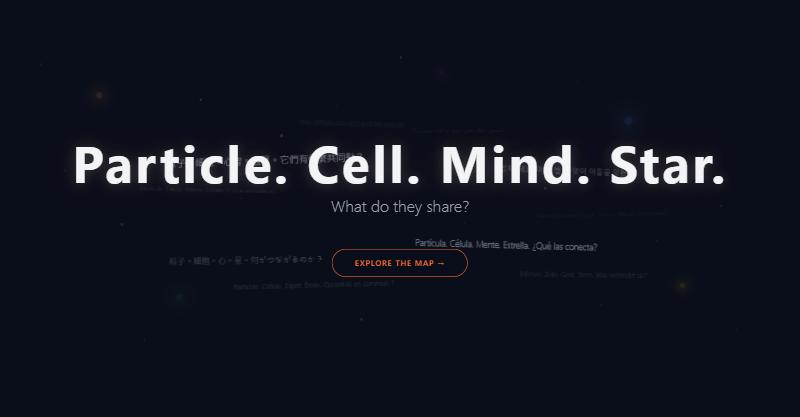 ECI Coordination Ontology: Particle. Cell. Mind. Star. What do they share?